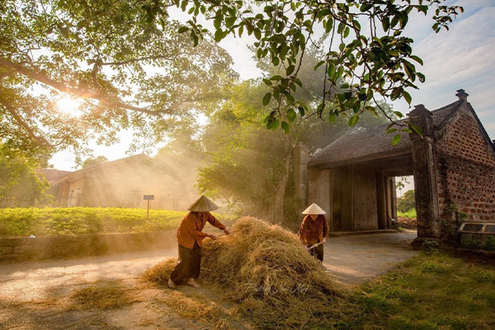 Duong Lam Village